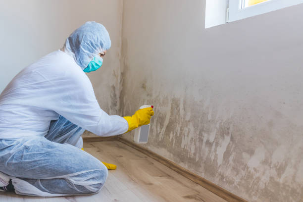 Licensed Mold Testing service in Midland Park, NJ - WQB Mold Removal