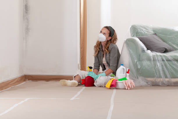 Reliable Mold Testing contractor in Midland Park, NJ by WQB Mold Removal